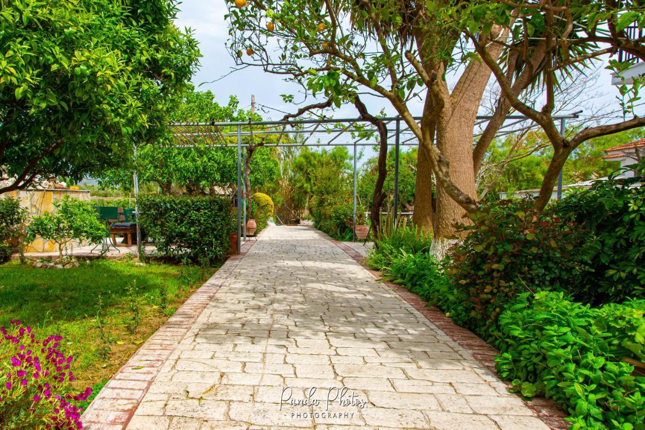 Zante Apts Laganas Exterior foto