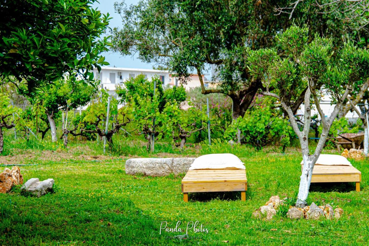 Zante Apts Laganas Exterior foto